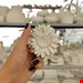 گل آفتابگردان