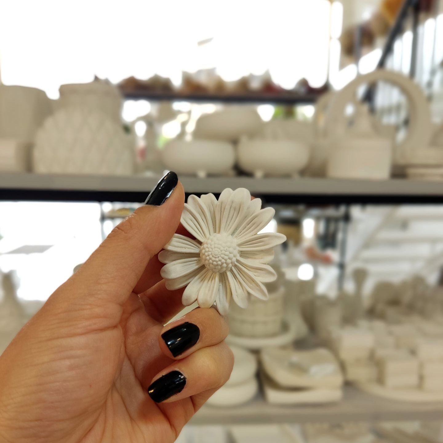 گل بابونه