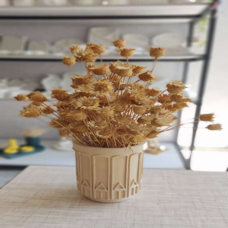 گلدان