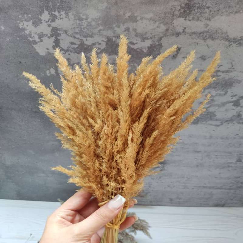 گل قمیش
