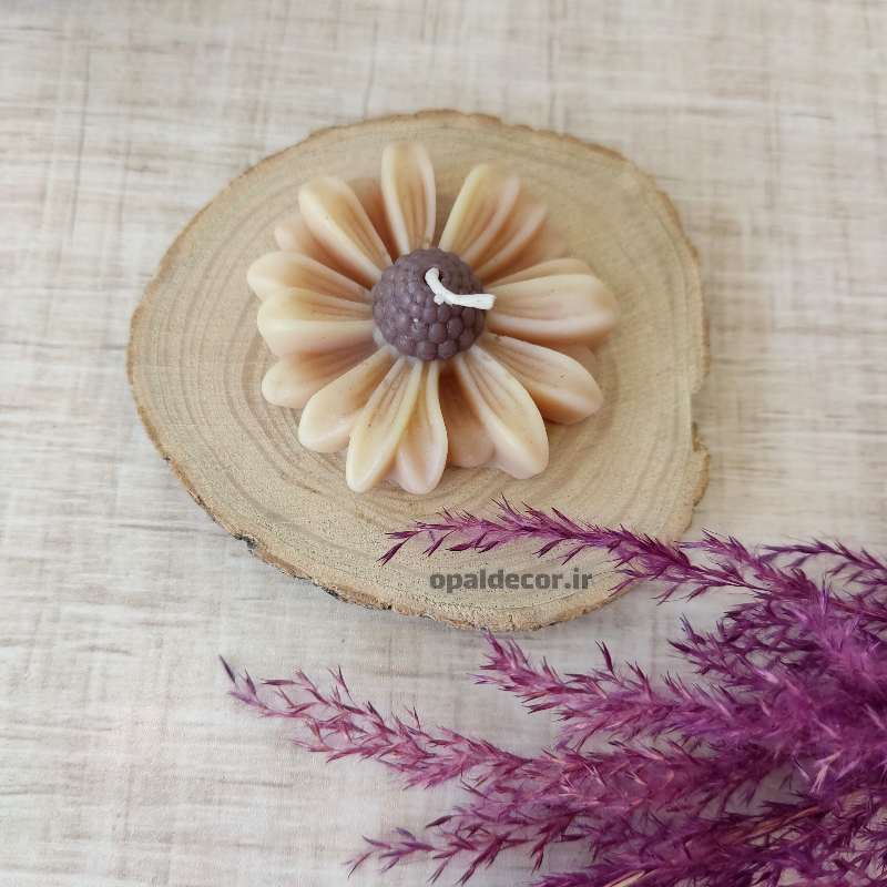 شمع بابونه