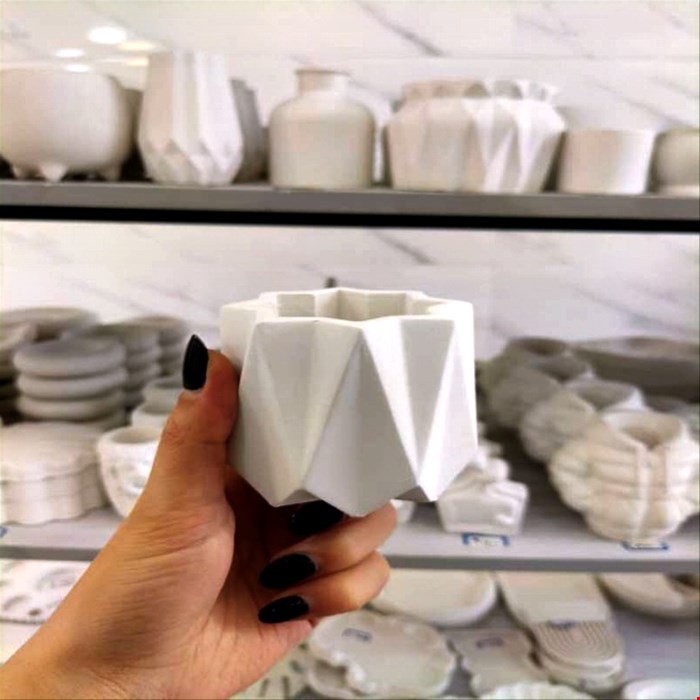 جاکبریتی لوتوس