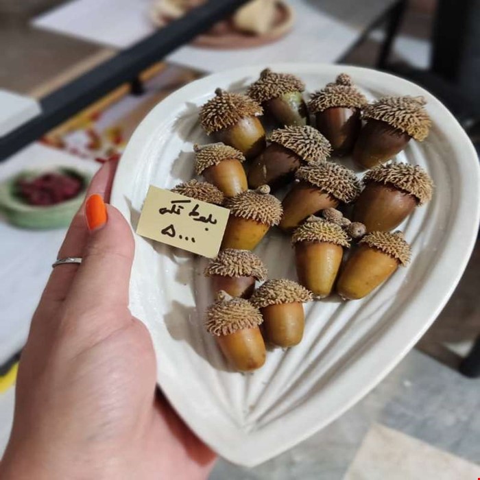 بلوط خشک 