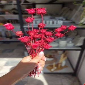 گل فندقی (۳۰ شاخه ای)
