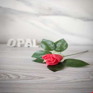 گیفت شمع گل رز شاخه ای