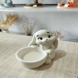 جاوارمری خرگوش