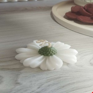 شمع بابونه