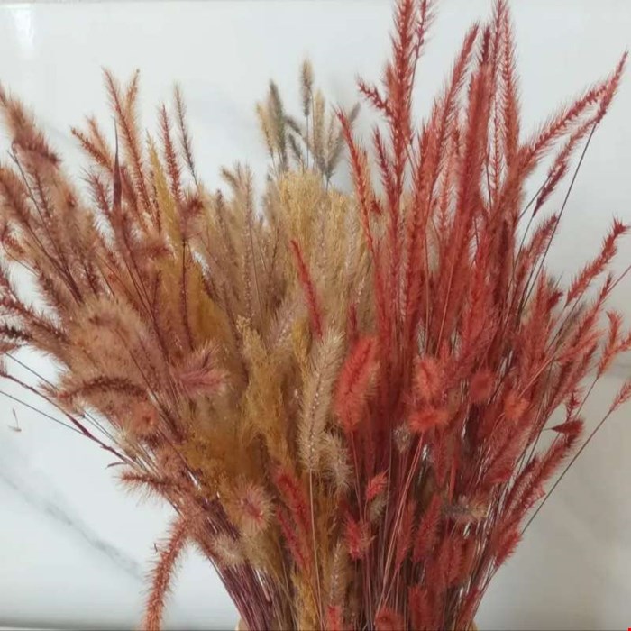 گل خشک ارزن