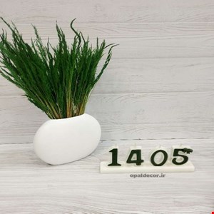 شمع سال 1405